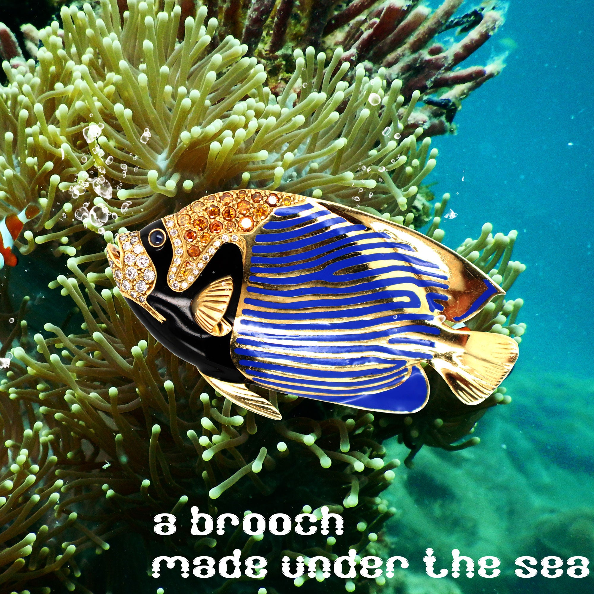 FINDING NEMO COLLECTION KASTON'S FISH ART BROOCH EMPEROR ANGEL FISH