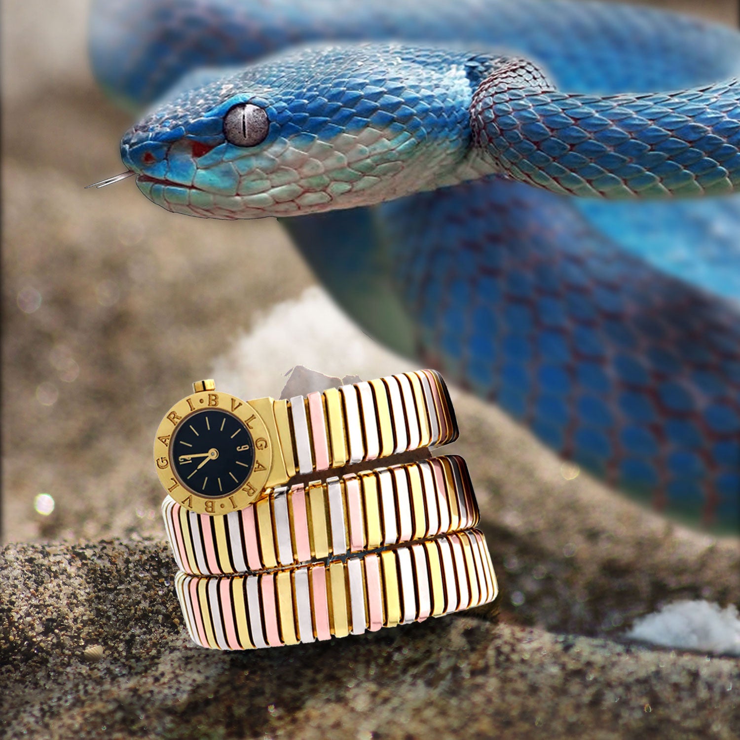 Women's Bvlgari Serpenti Watch Bracelet